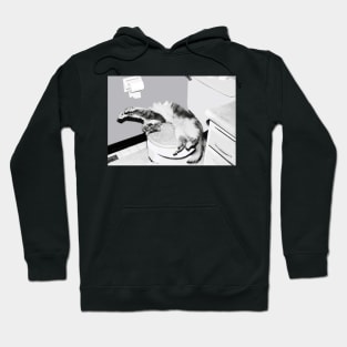 Asleep On The Throne Hoodie